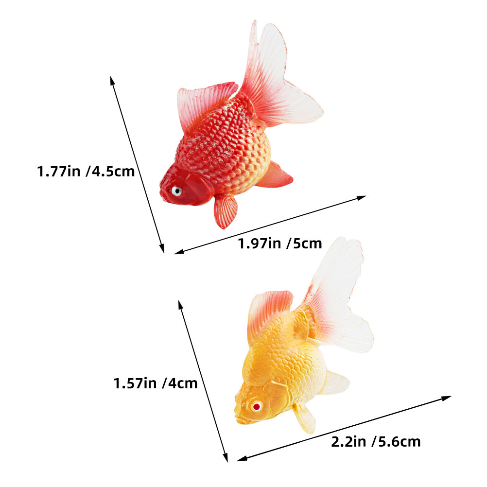 3 قطع من أسماك السمك الذهبي ال - مراجعة Aquarium Fish Small وسعره