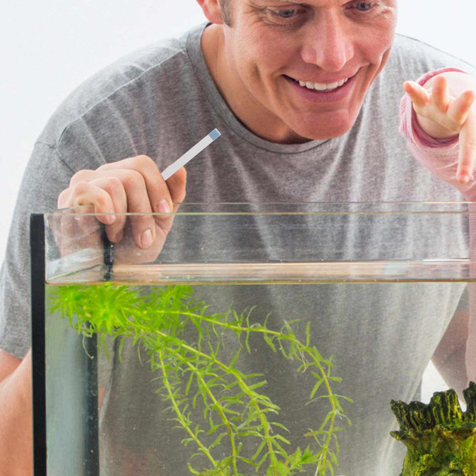 شرائط اختبار جودة المياه لحمام - مراجعة Aquarium Test Kit وسعره