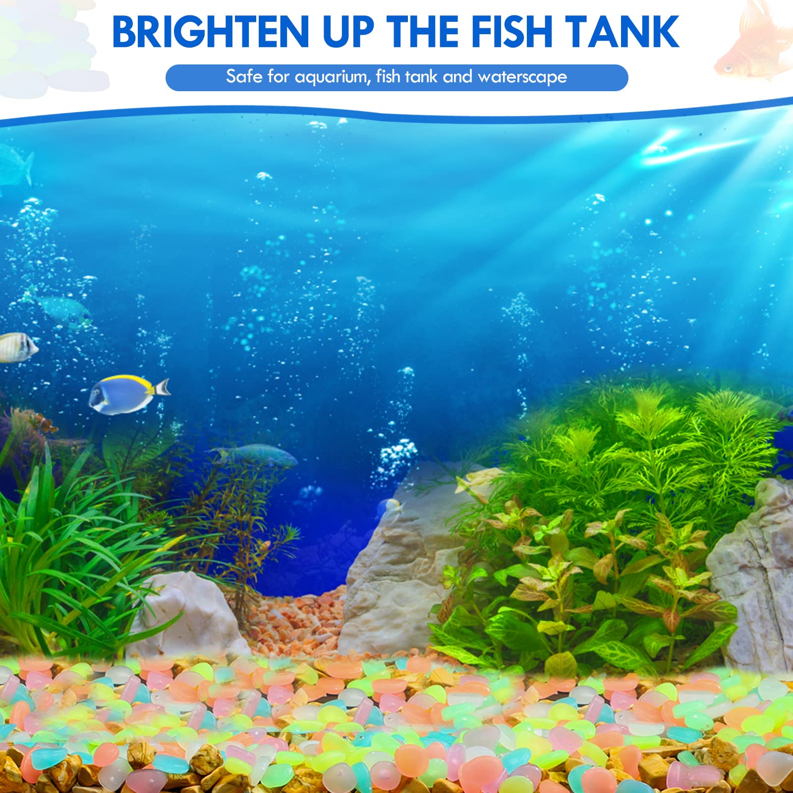 100 قطعة يتوهج في الظلام حديقة - مراجعة Aquarium Fish That Glow In The Dark وسعره
