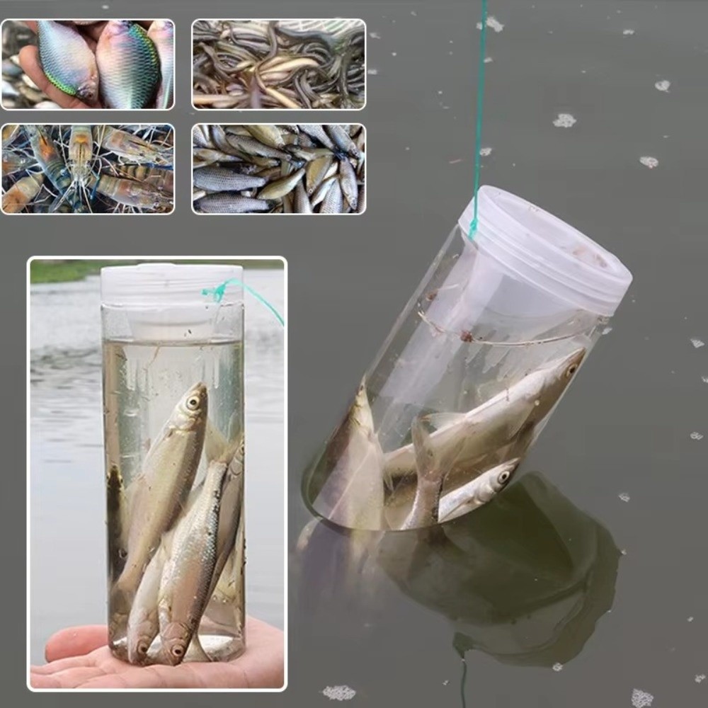 زجاجة صيد السمك المتينة، قفص س - مراجعة Aquarium Fish Trap وسعره