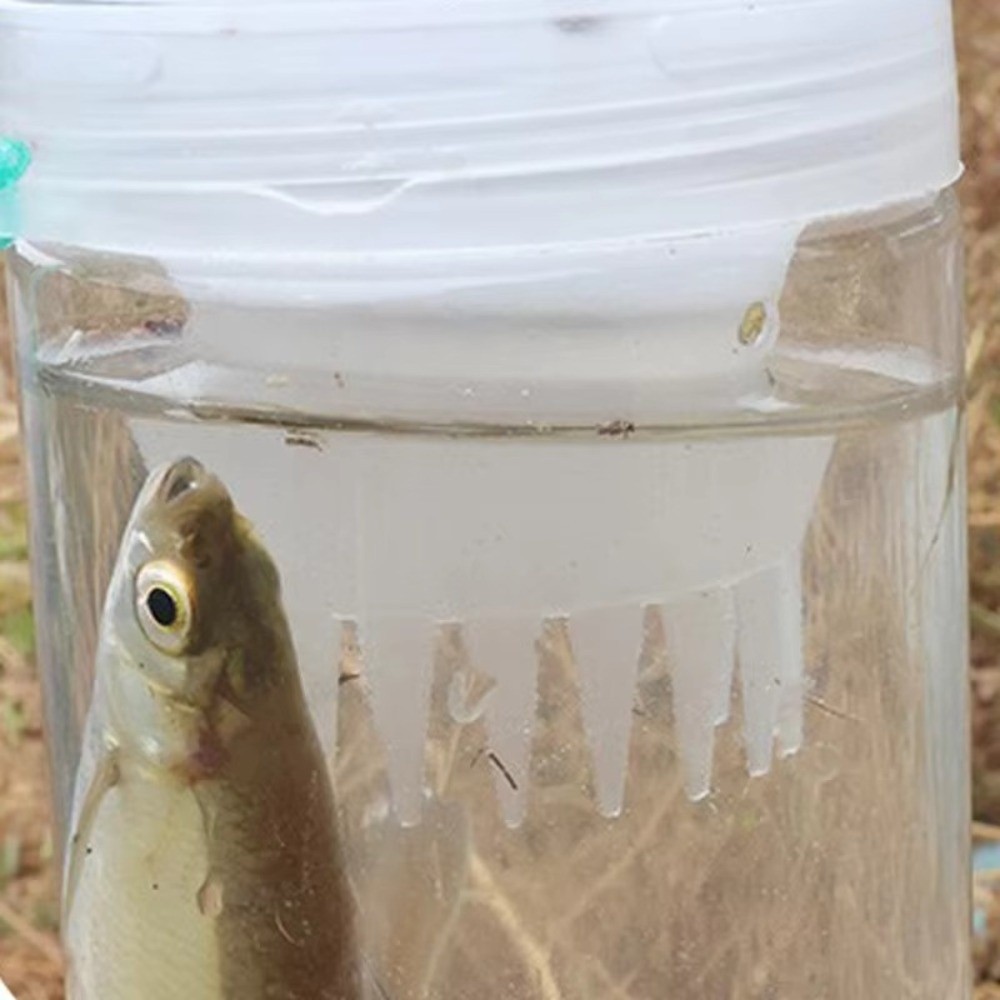زجاجة صيد السمك المتينة، قفص س - مراجعة Aquarium Fish Trap وسعره