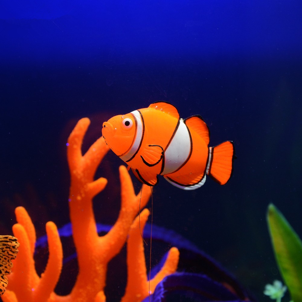 زينة حوض السمك المضيئة في الظل - مراجعة Aquarium Fish That Glow In The Dark وسعره