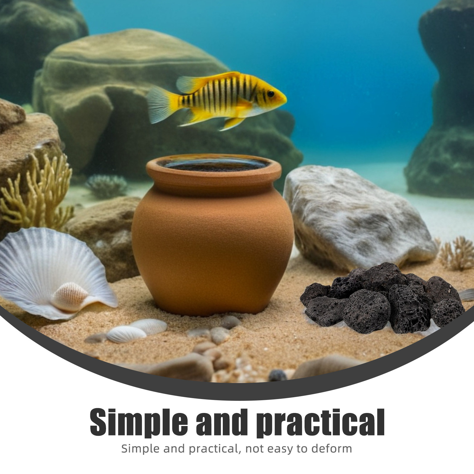 حزمة واحدة من أحجار الحمم البر - مراجعة Aquarium Fish Small وسعره