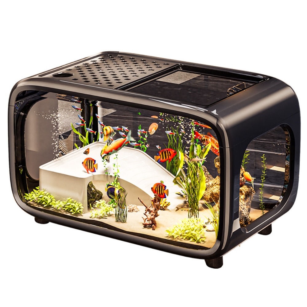 حوض أسماك إيكولوجي شفاف مبتكر  - مراجعة Live Fish Aquarium وسعره