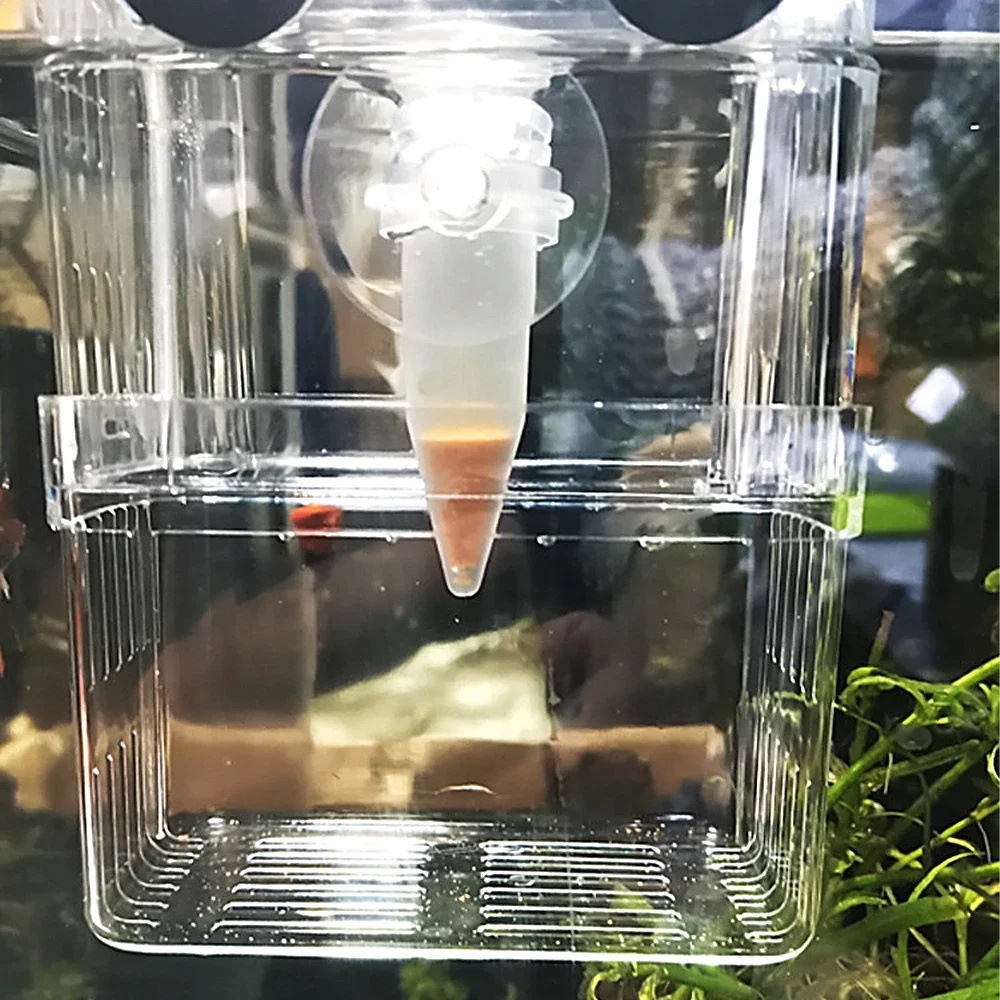 التلقائي وحدة تغذية الأسماك مخ - مراجعة Aquarium Fish Eggs وسعره