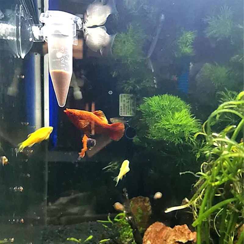 التلقائي وحدة تغذية الأسماك مخ - مراجعة Aquarium Fish Eggs وسعره
